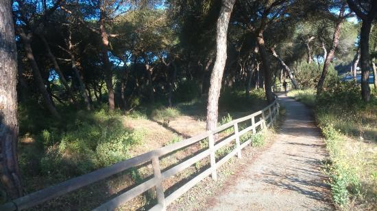 Paraje Natural Enebrales de Punta Umbria