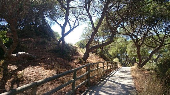 Enebrales de Punta Umbría